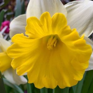 Meet your Posher, Cathy